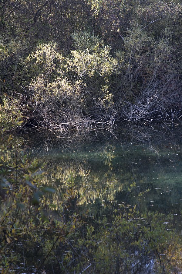 Reflection on deep water