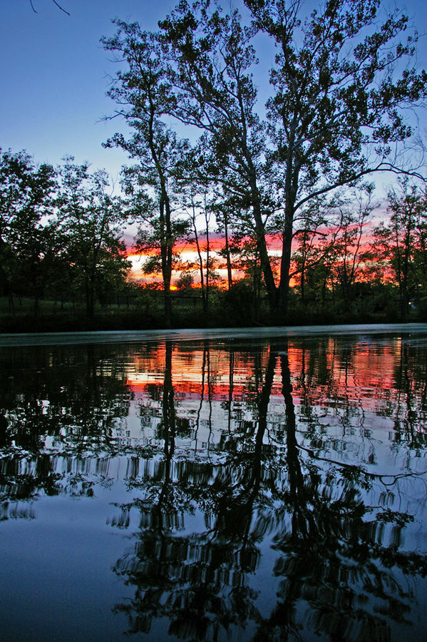 Reflection on Elkhorn Creek