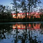 Reflection on Elkhorn Creek