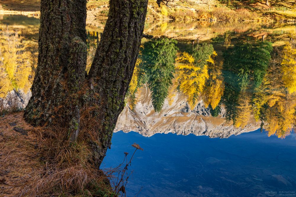 Reflection on the water