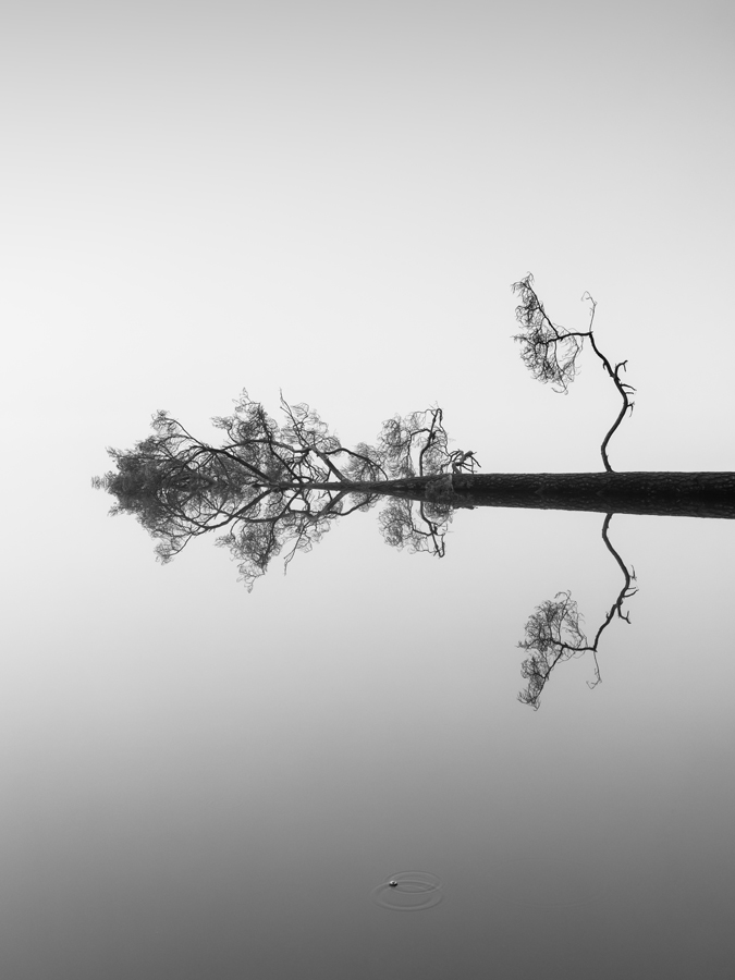 reflection on water