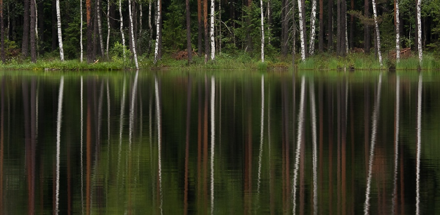 reflections