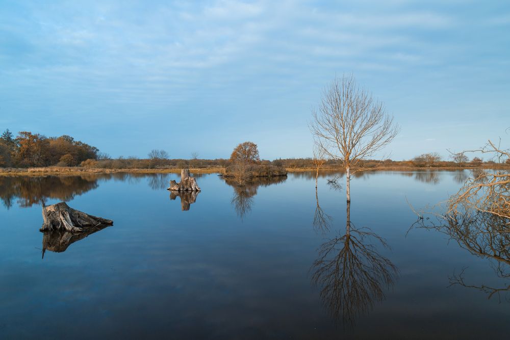 Reflections