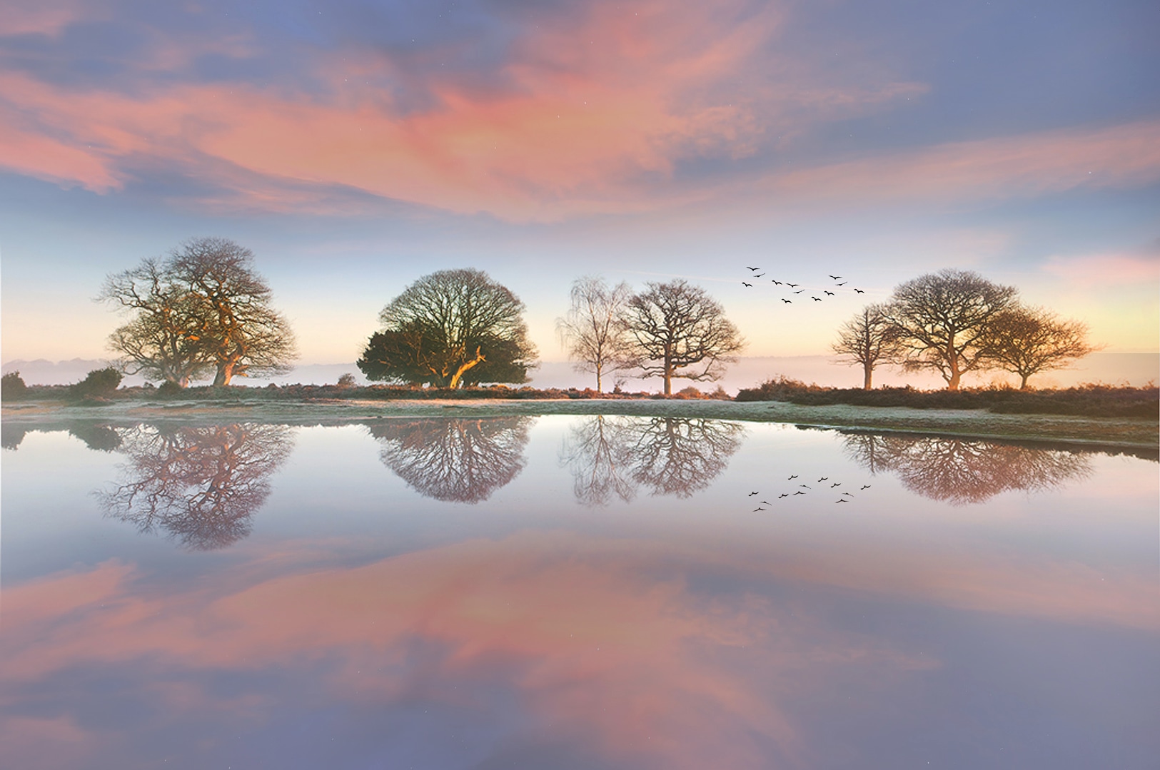 Reflections Foto & Bild landschaft, garten & parklandschaften, fotos