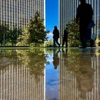 Reflections