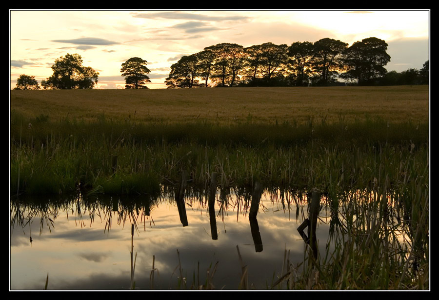 Reflections