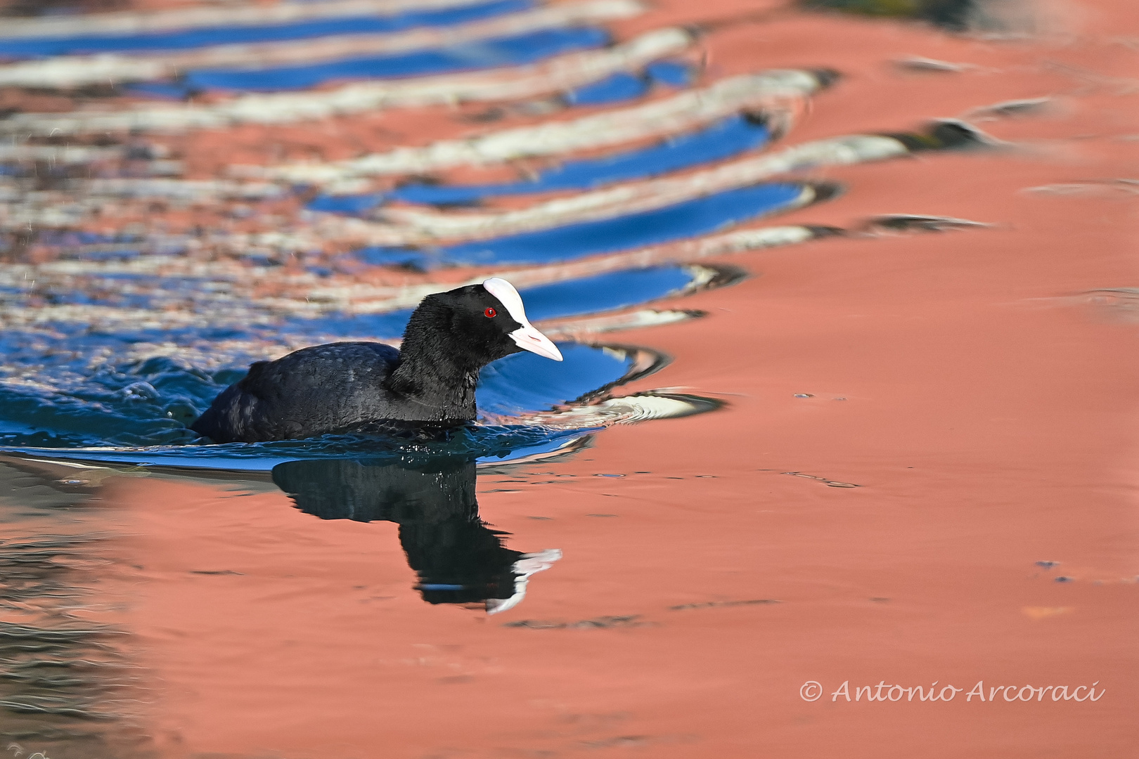 Reflections and colors