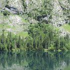 Reflections at Obersee