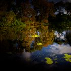 Reflections at sunset