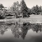 Reflections at the Ranch