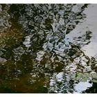 Reflections...