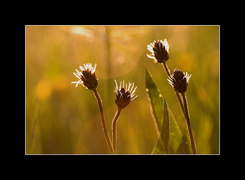 - reflections -