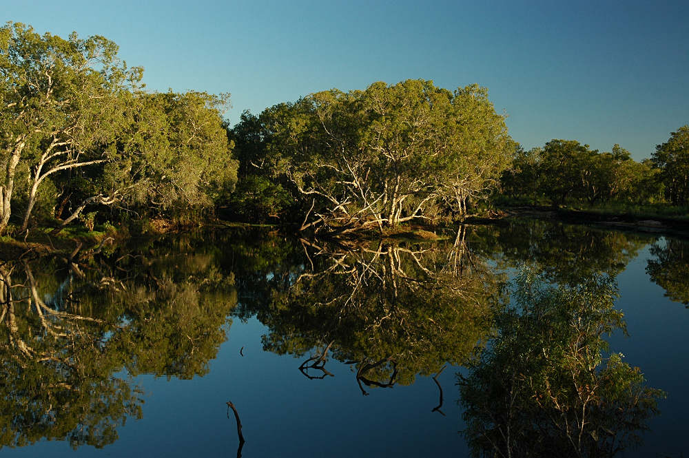 reflections