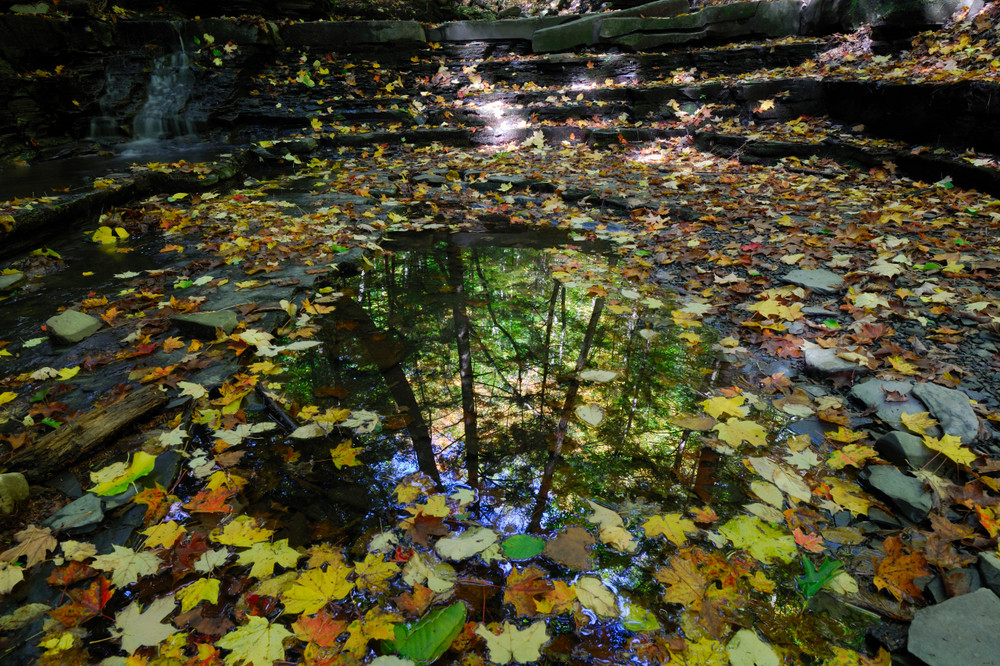 Reflections in a pool