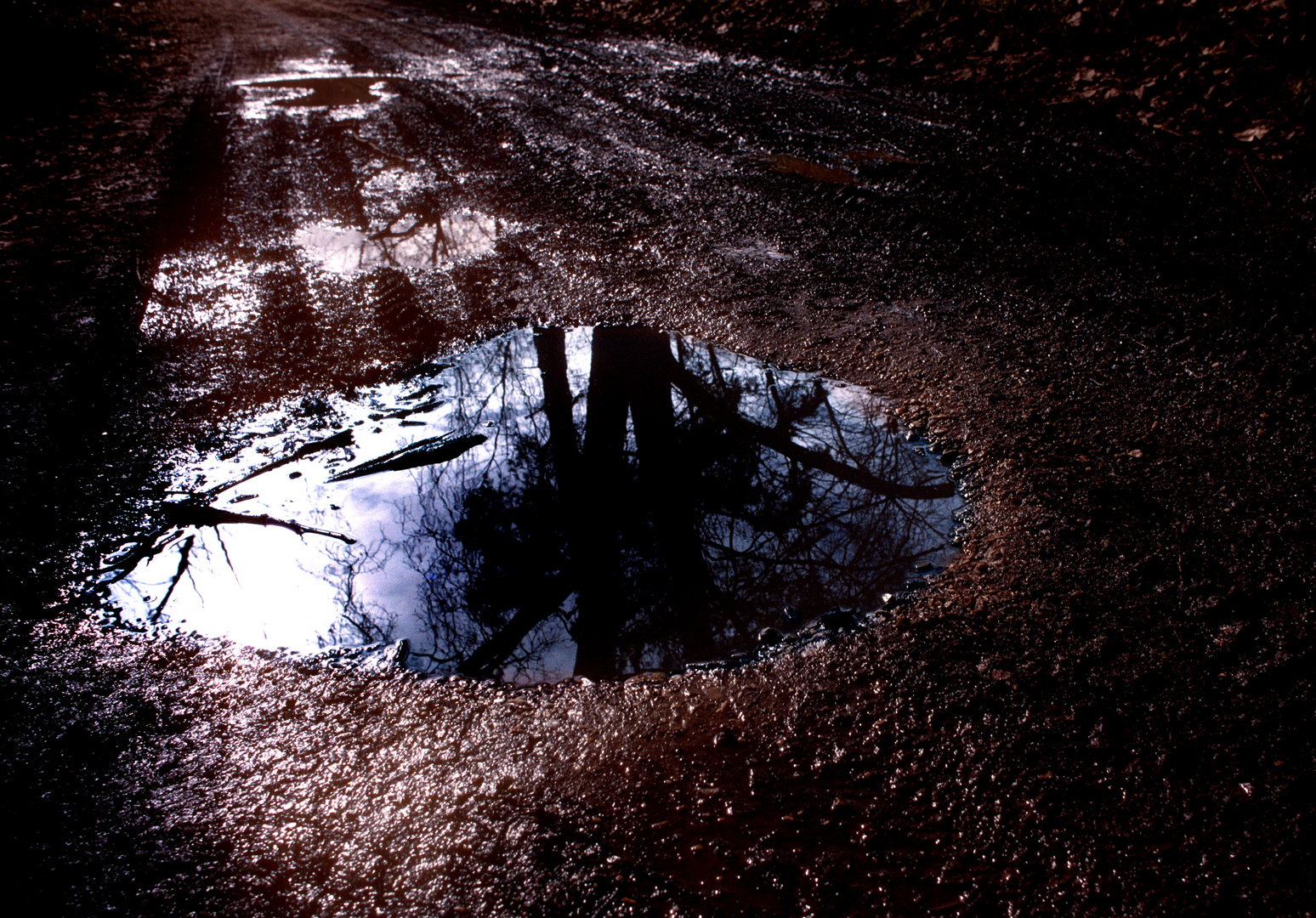 Reflections in a puddle