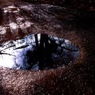 Reflections in a puddle