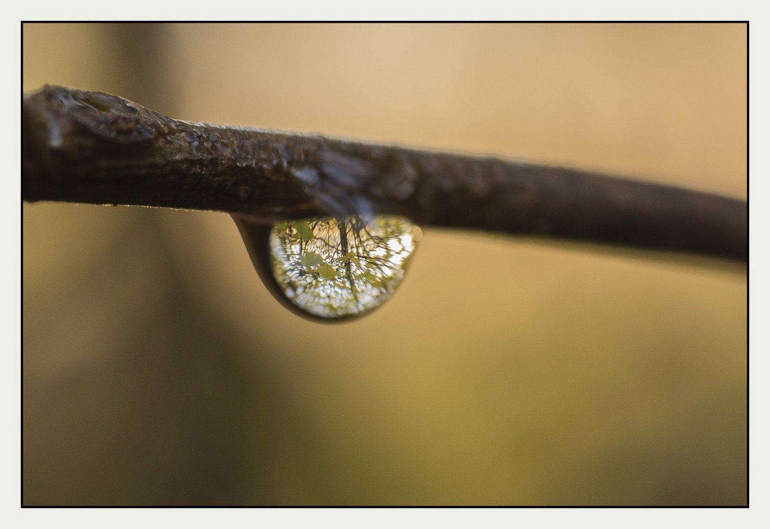 Reflections in a water drop.