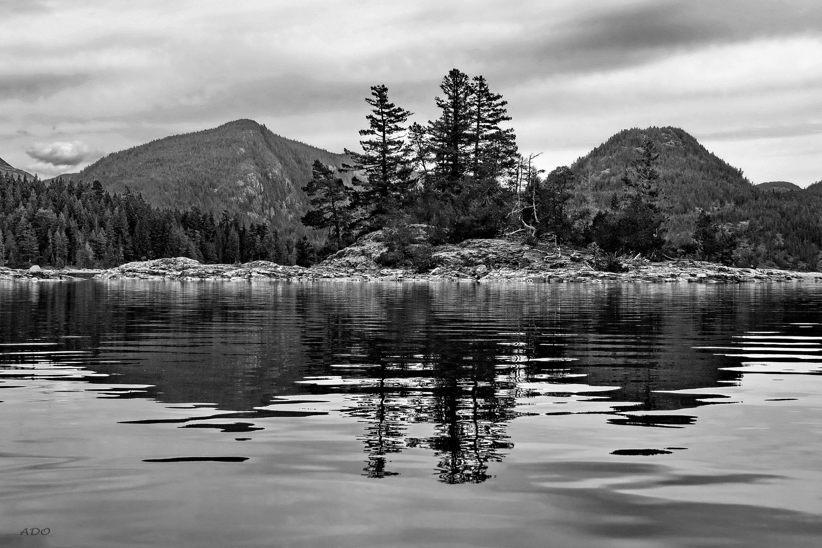 Reflections in Black and White