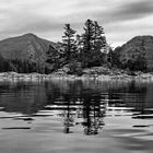 Reflections in Black and White