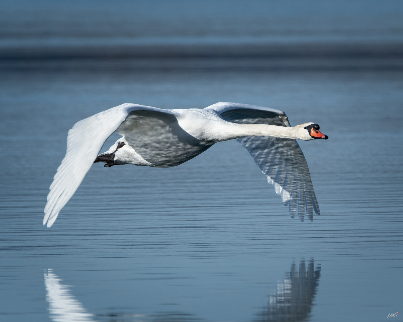 Reflections in Flight