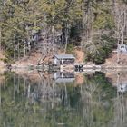 Reflections in Maine