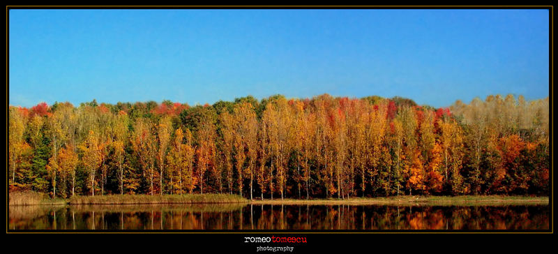 reflections of colour