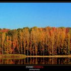 reflections of colour