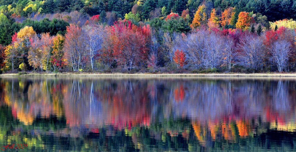 Reflections of Fall