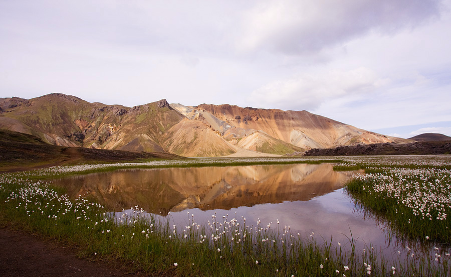 Reflections of Iceland