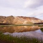 Reflections of Iceland