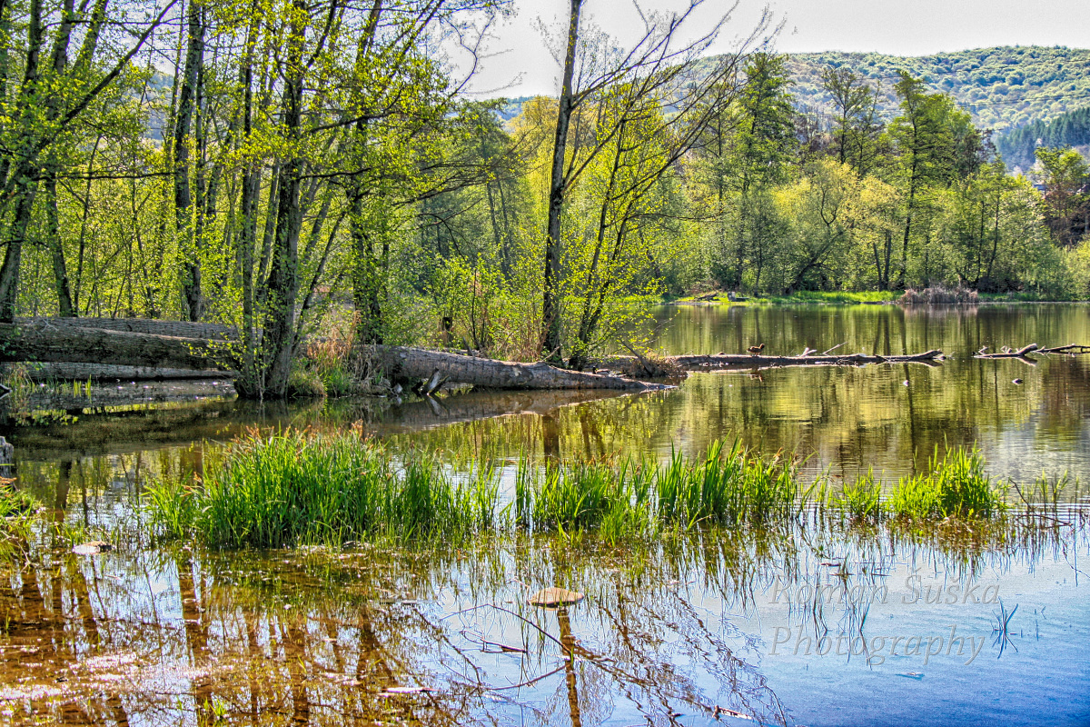 Reflections of nature (SK)