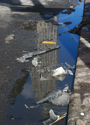 Reflections of NYC