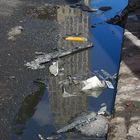 Reflections of NYC