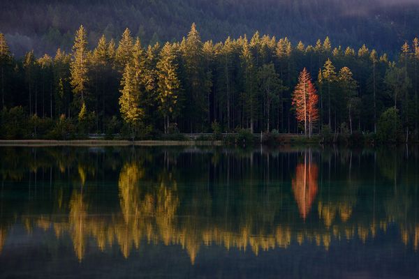 „Reflections of Silence“