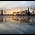 Reflections of the Morning Light