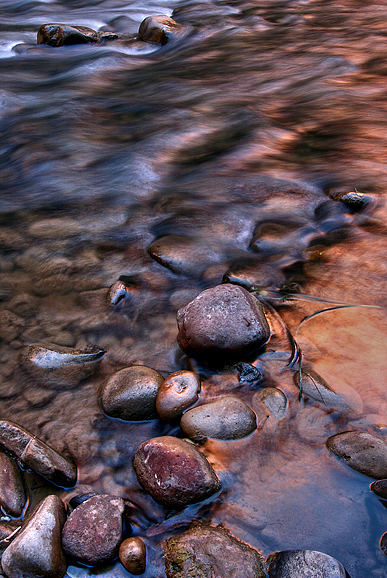 Reflections of Zion