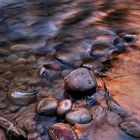 Reflections of Zion