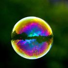 Reflections on a bubble!