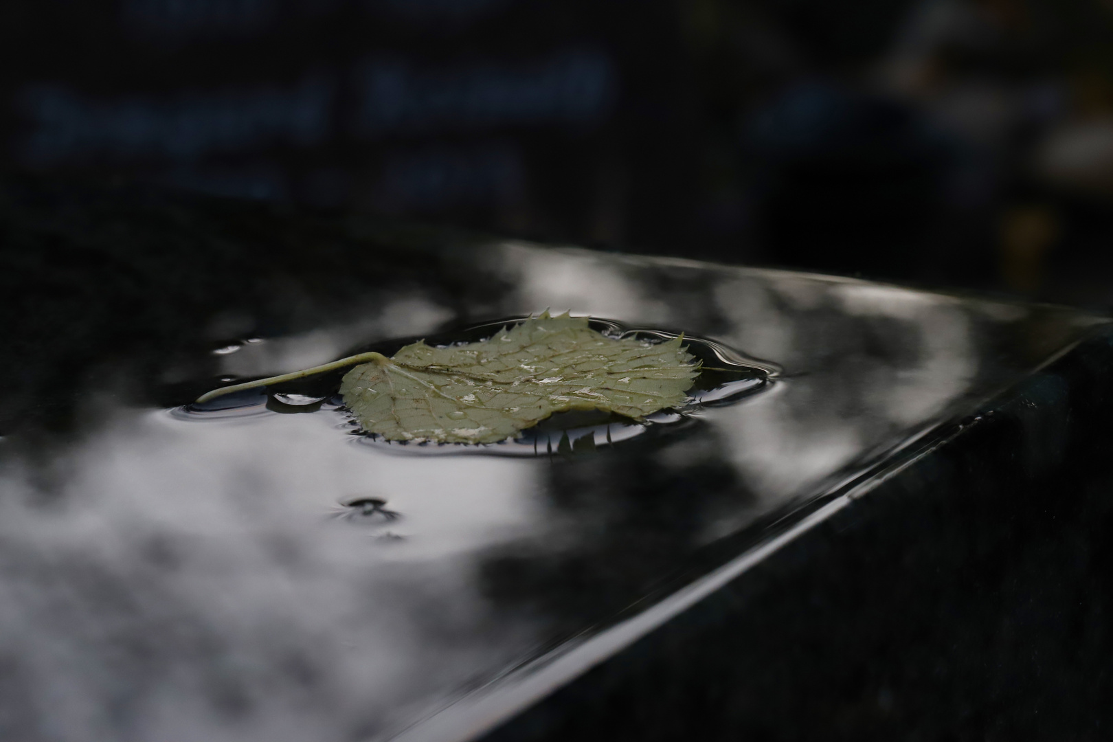 Reflections on a Tombstone