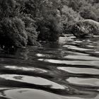 Reflections on the river