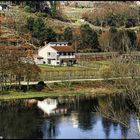 Reflections on the River Miño (Lugo - Spain)