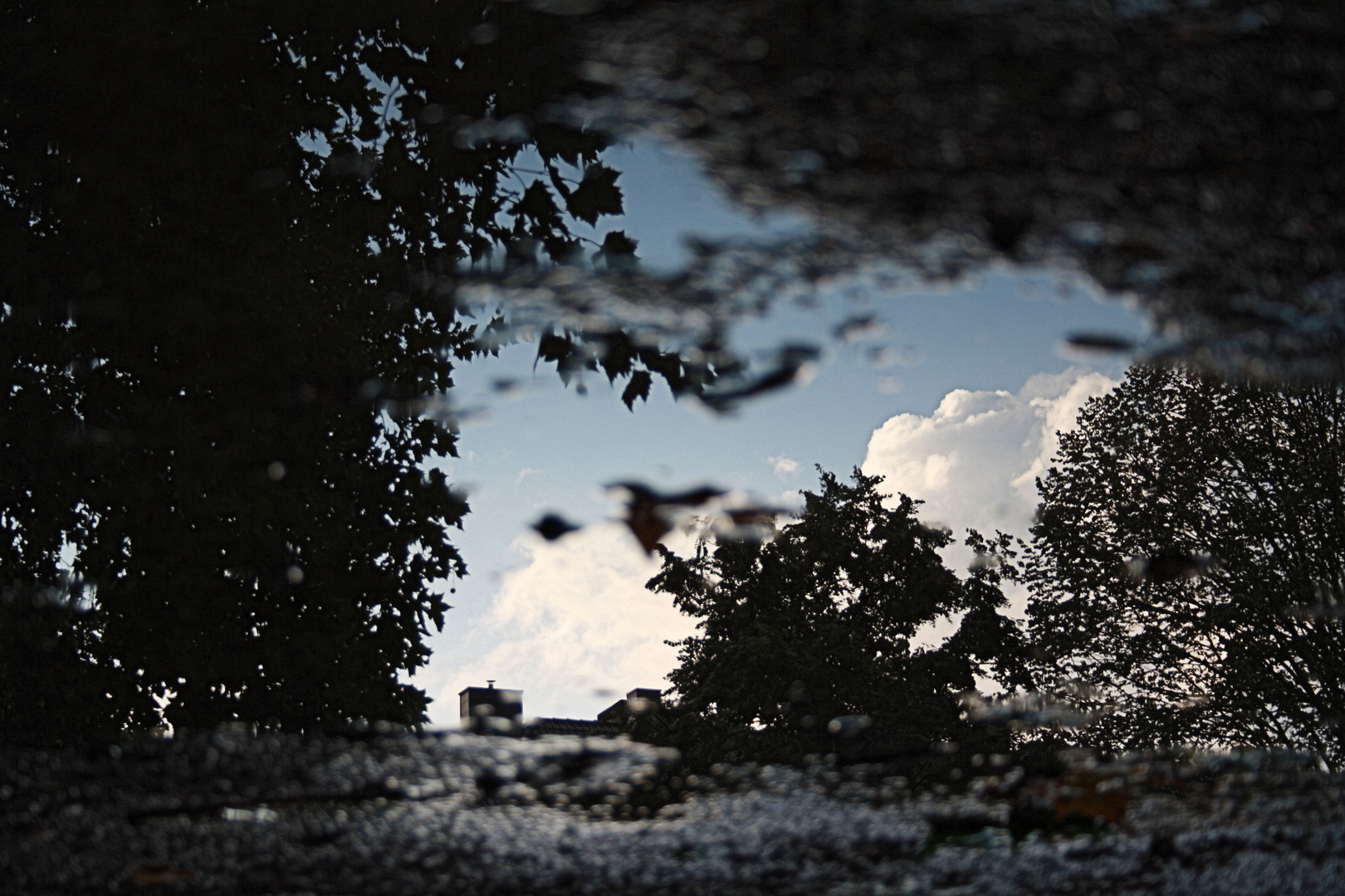 Reflections on the Water after the Rain