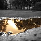 Reflections on the Water after the Rain II