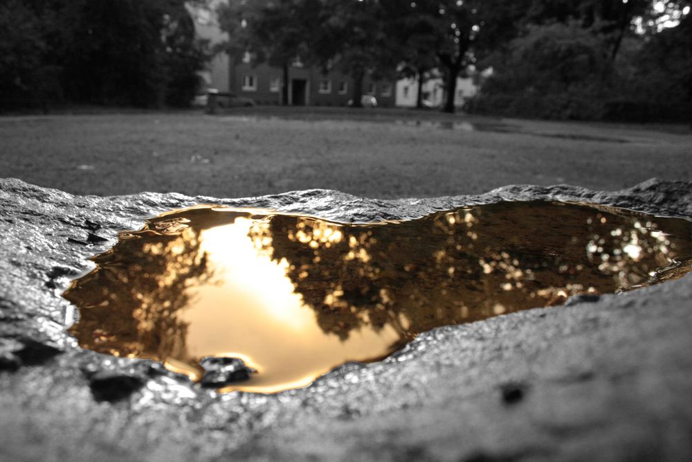 Reflections on the Water after the Rain II