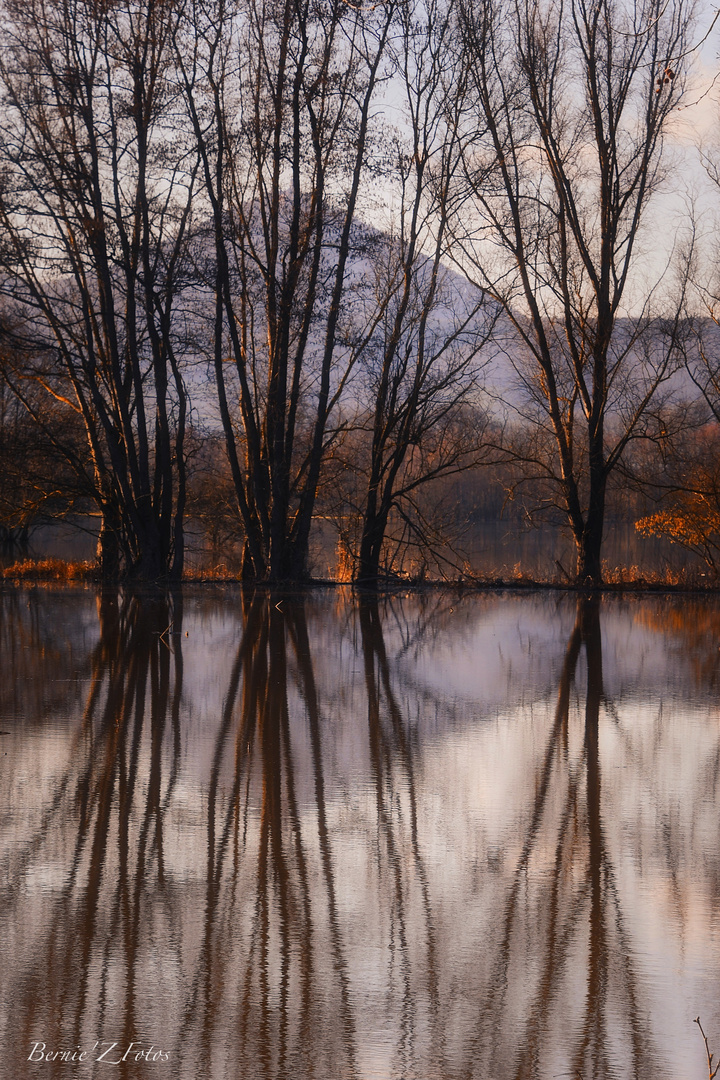 Reflections sur champs inondés