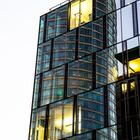 Reflections_6_FFM