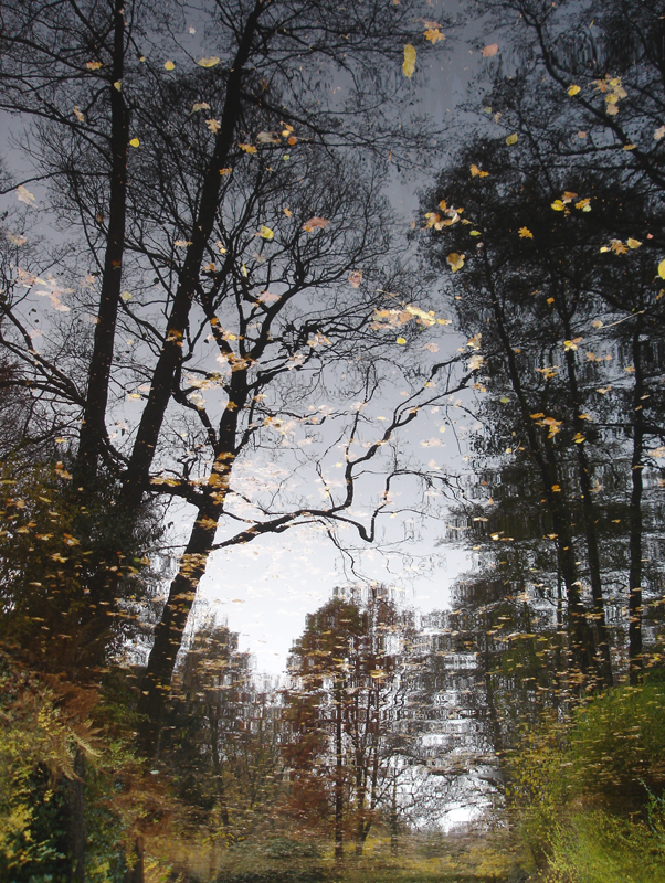 Reflections_8