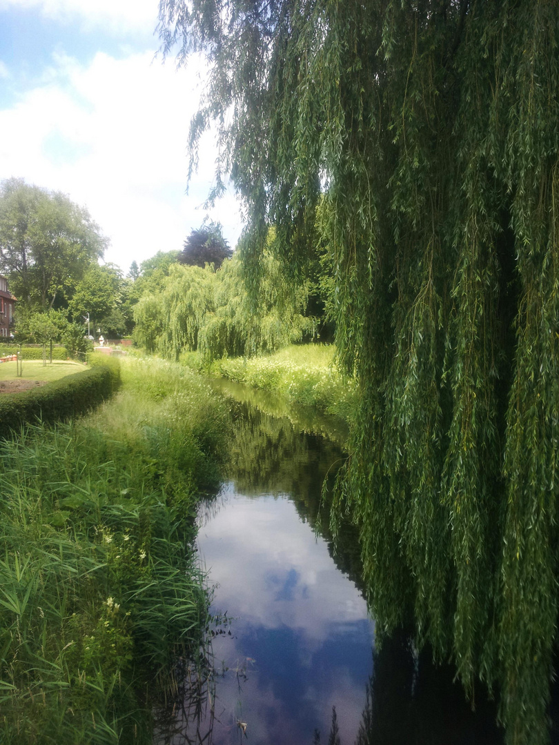 Reflective Water I