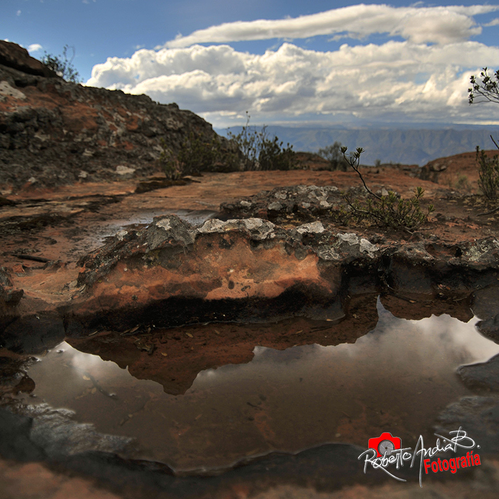 reflejo