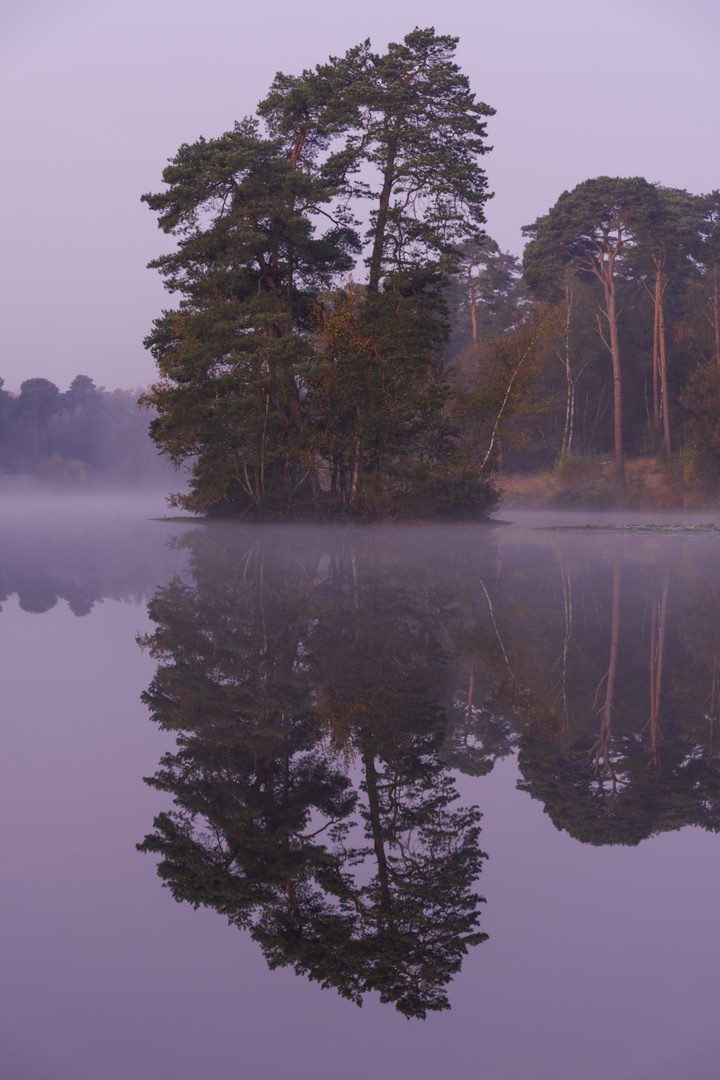 Reflejo al amanecer